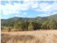 Wingham NSW 2429