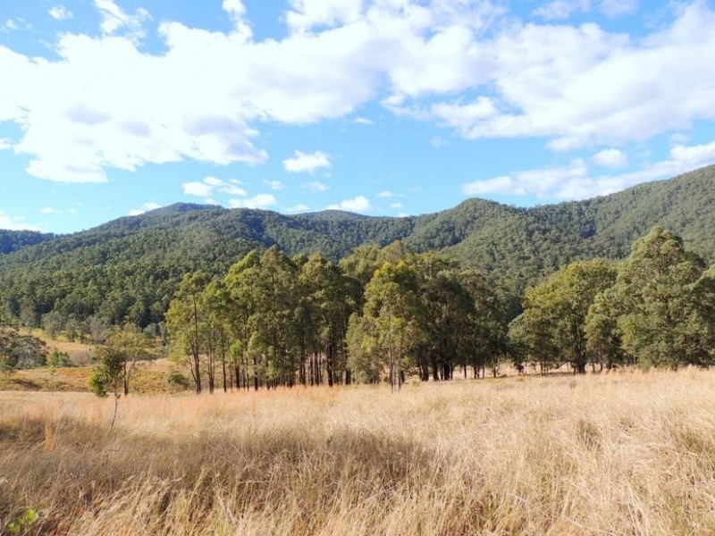 Wingham NSW 2429