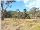 Wingham NSW 2429