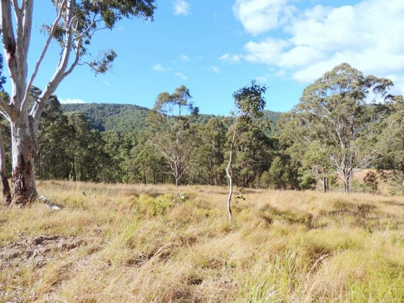 Wingham NSW 2429
