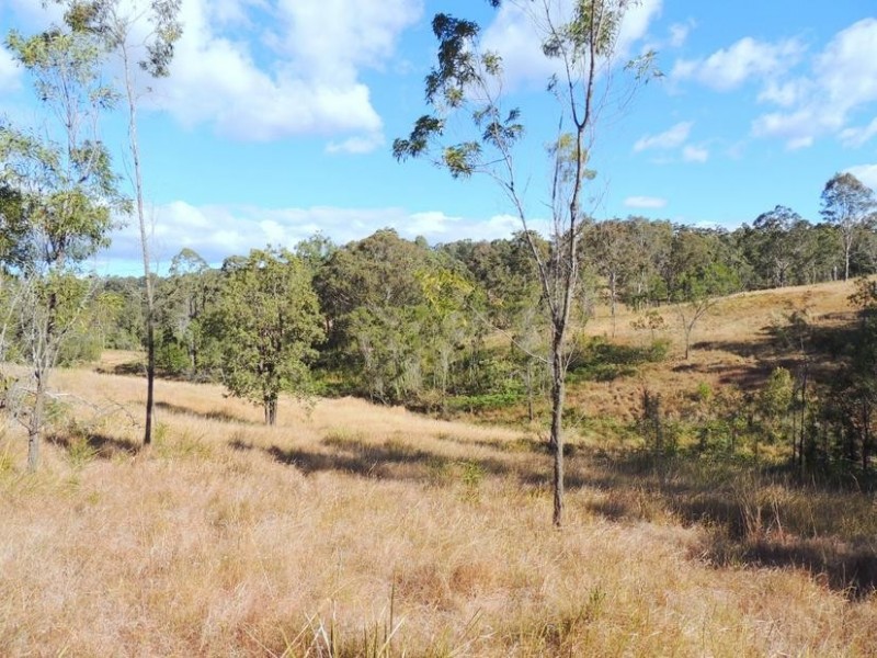 Wingham NSW 2429