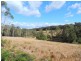 Wingham NSW 2429