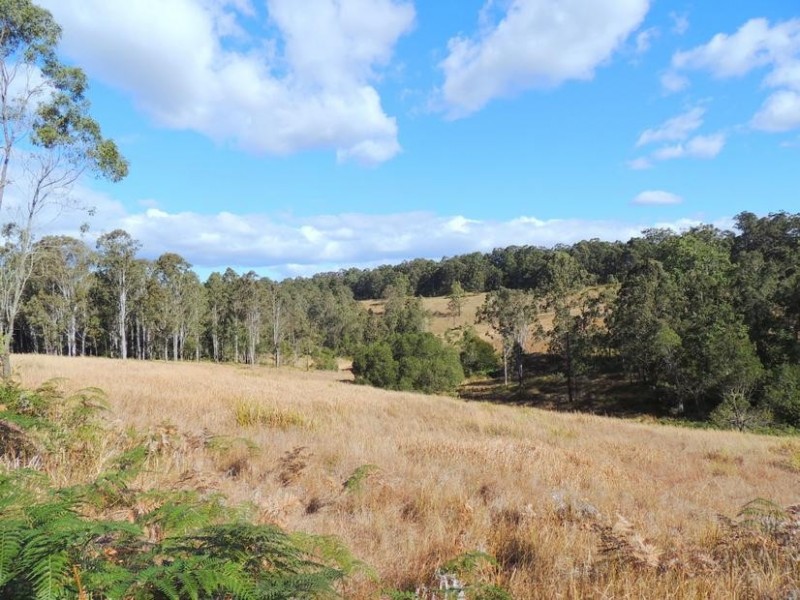 Wingham NSW 2429