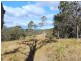 Wingham NSW 2429