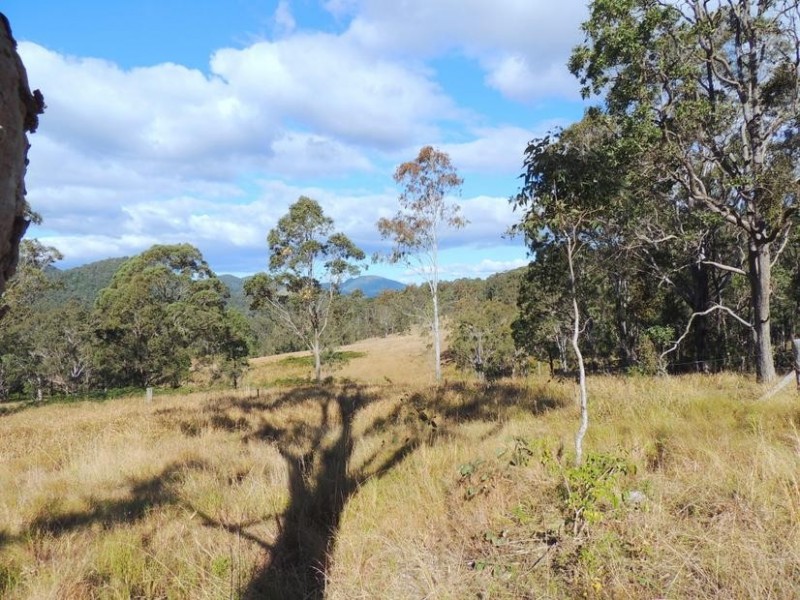 Wingham NSW 2429