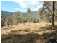 Wingham NSW 2429