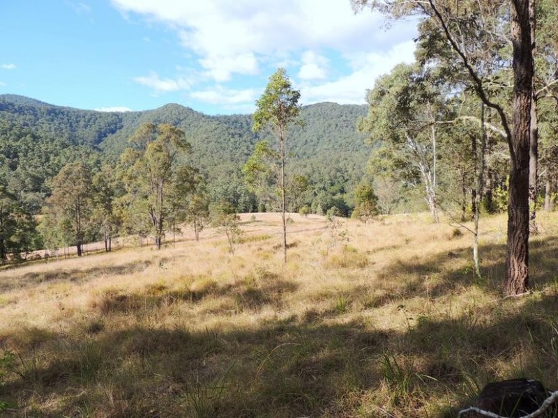 Wingham NSW 2429
