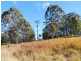 Wingham NSW 2429