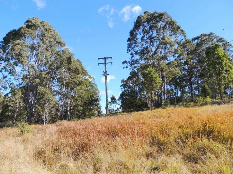 Wingham NSW 2429