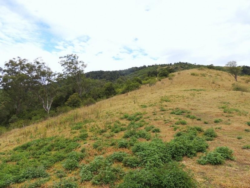 Knorrit Flat NSW 2424