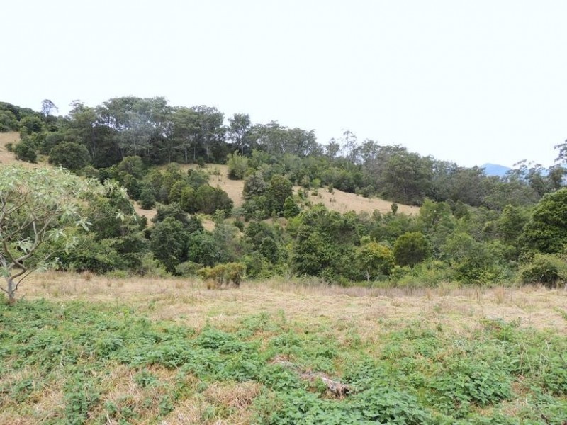 Knorrit Flat NSW 2424