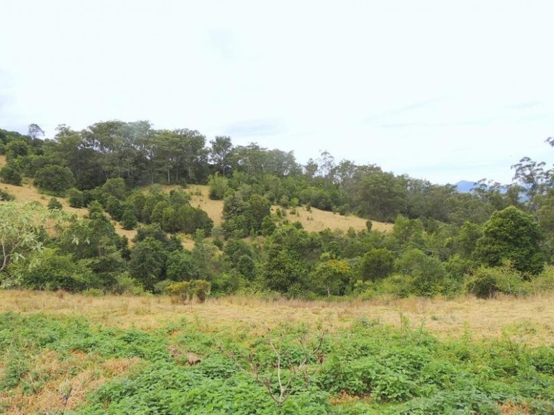 Knorrit Flat NSW 2424