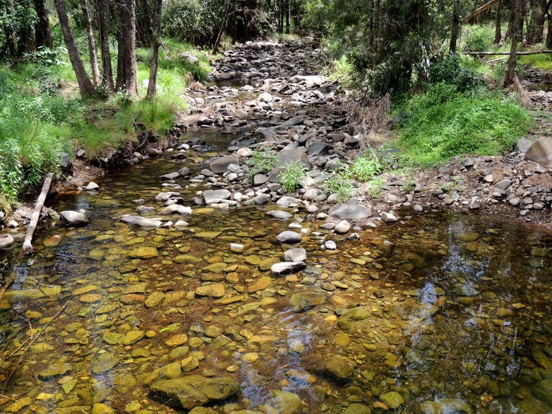 Barrington NSW 2422