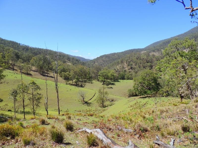 Cooplacurripa NSW 2424