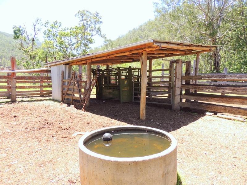 Cooplacurripa NSW 2424