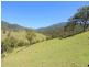Cooplacurripa NSW 2424