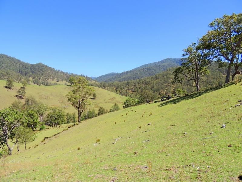Cooplacurripa NSW 2424