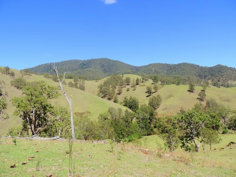 Cooplacurripa NSW 2424