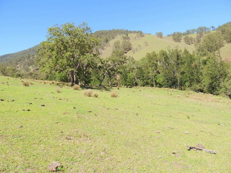Cooplacurripa NSW 2424