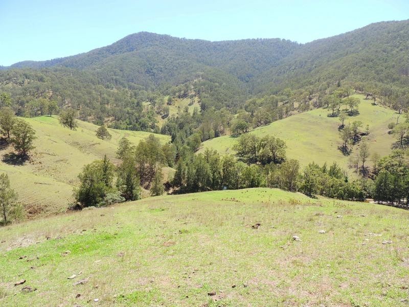 Cooplacurripa NSW 2424