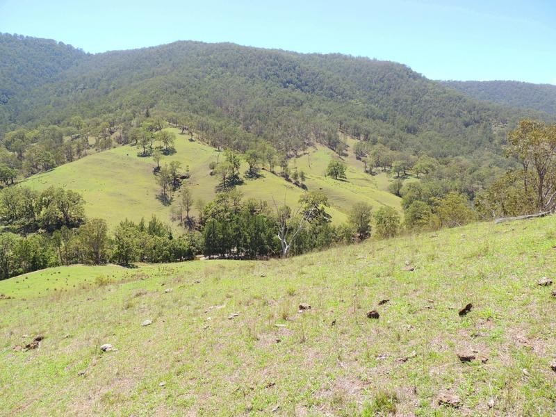 Cooplacurripa NSW 2424