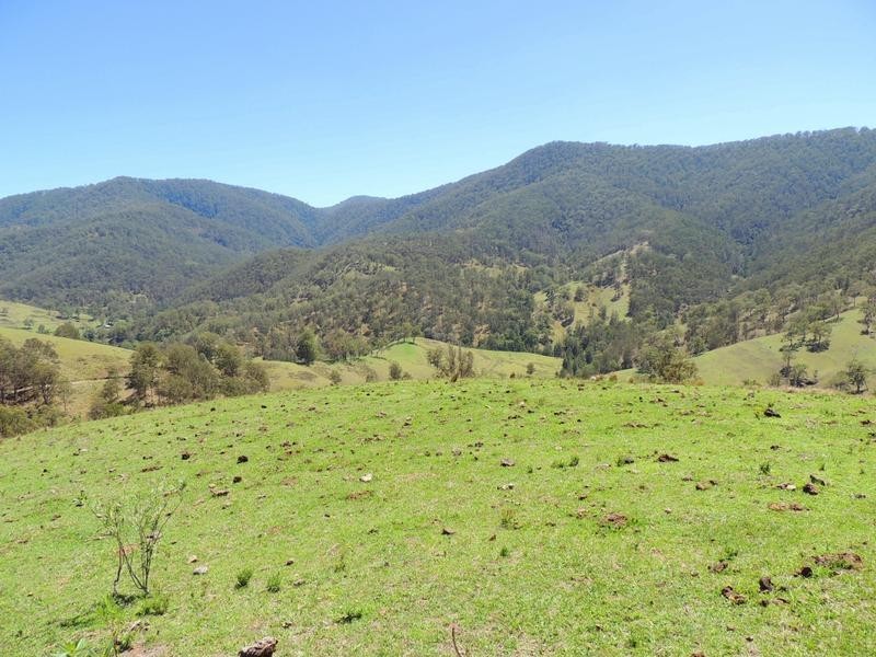 Cooplacurripa NSW 2424
