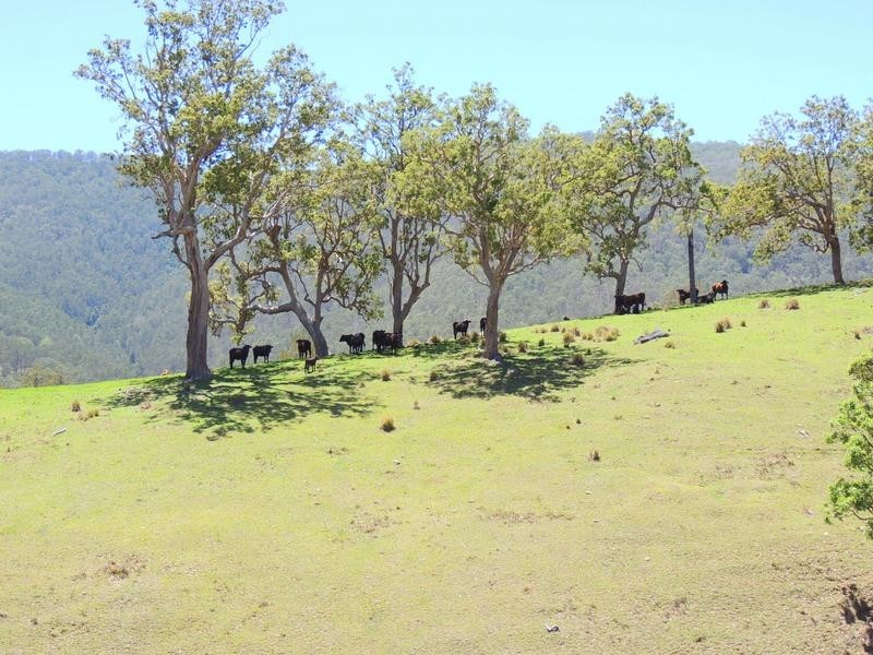 Cooplacurripa NSW 2424