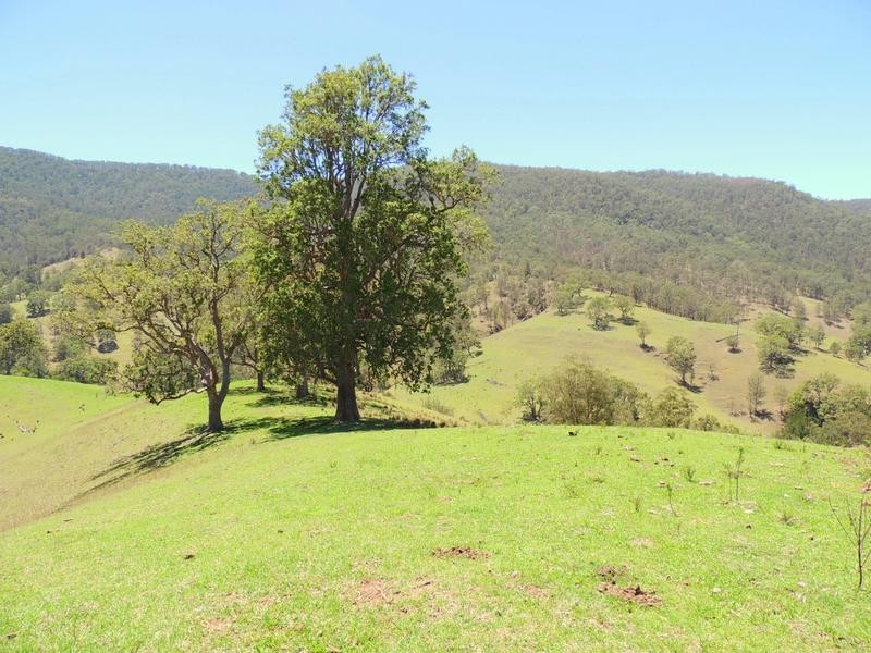 Cooplacurripa NSW 2424