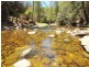 Cooplacurripa NSW 2424