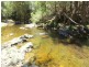Cooplacurripa NSW 2424