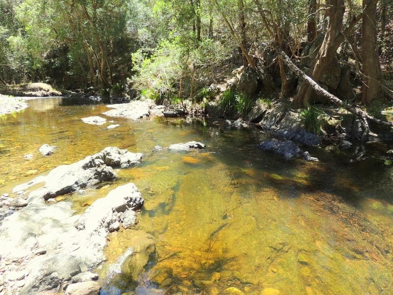 Cooplacurripa NSW 2424