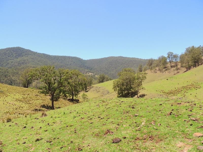 Cooplacurripa NSW 2424