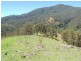 Cooplacurripa NSW 2424
