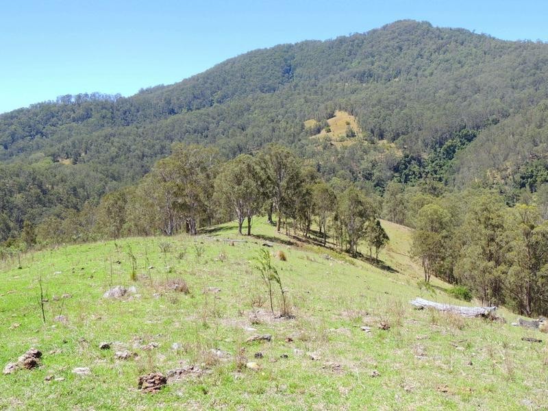 Cooplacurripa NSW 2424