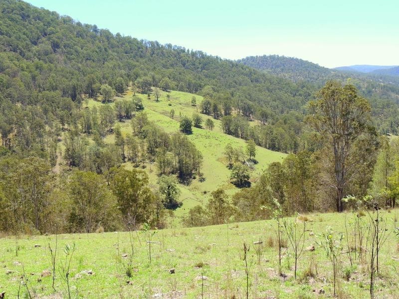 Cooplacurripa NSW 2424