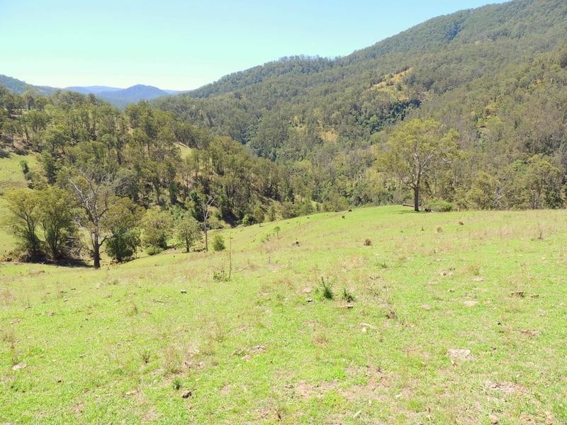 Cooplacurripa NSW 2424