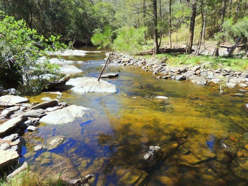 Cooplacurripa NSW 2424