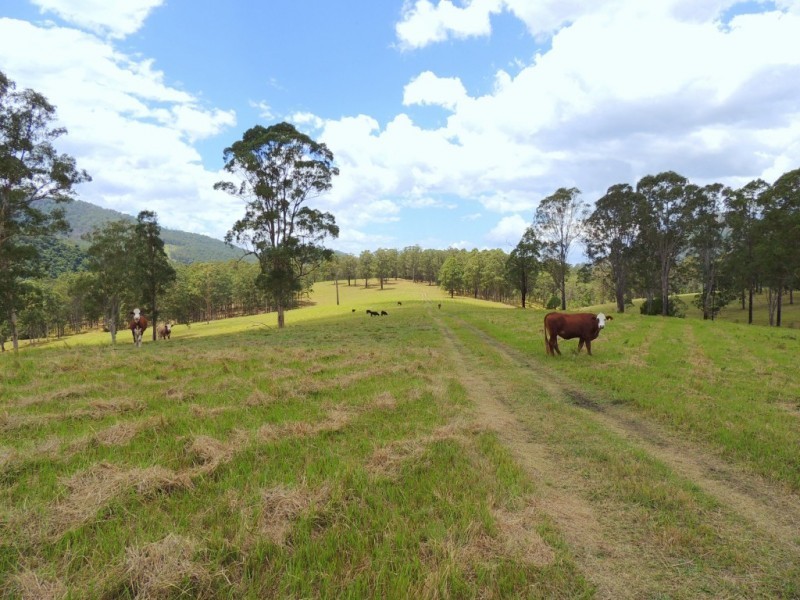 Gloucester NSW 2422