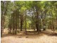 Gloucester NSW 2422