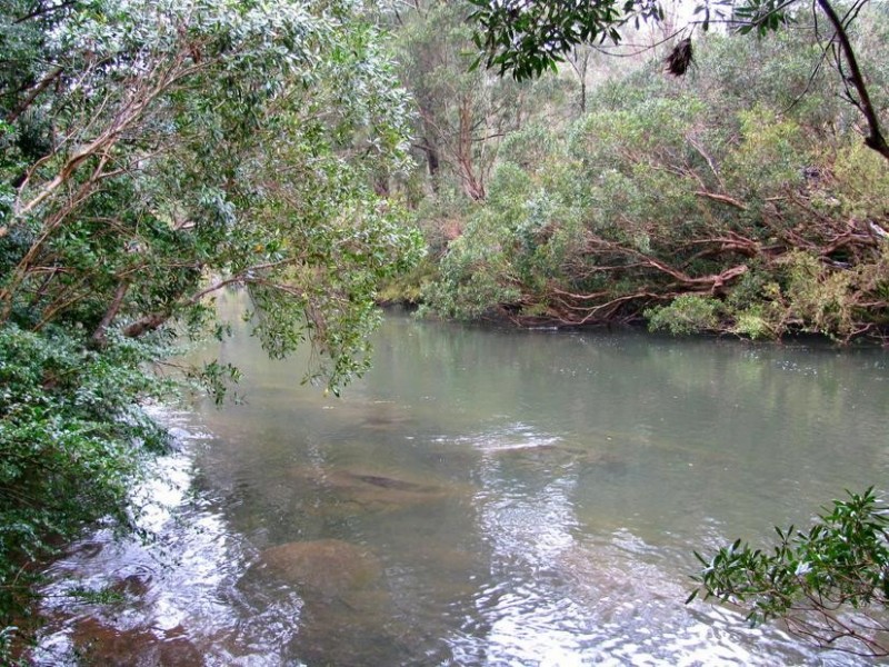 Bindera NSW 2422
