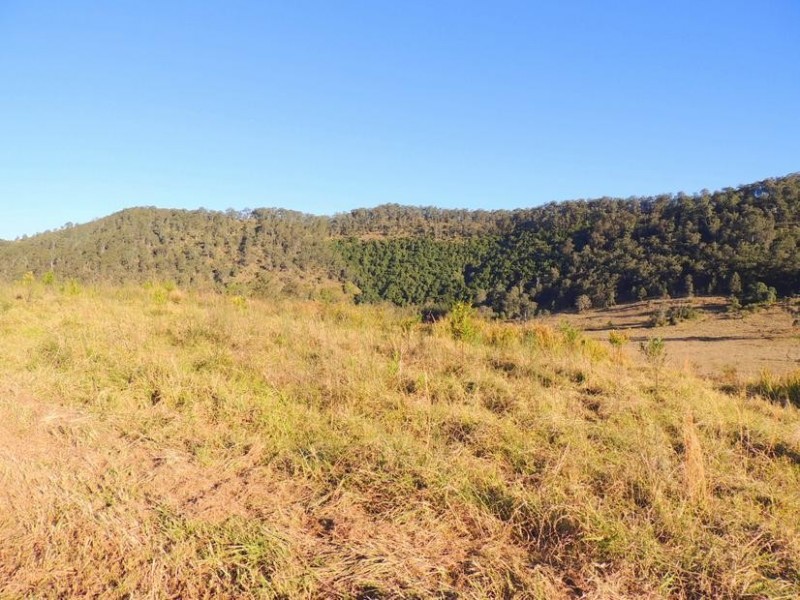 Bindera NSW 2422
