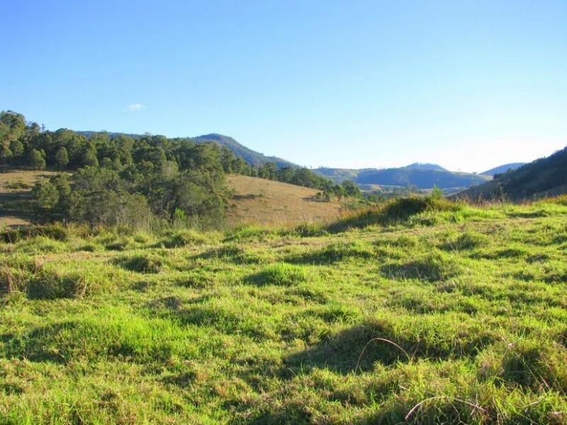 Bindera NSW 2422