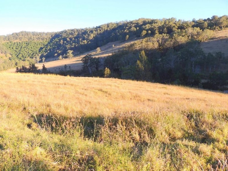 Bindera NSW 2422