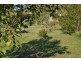 Gloucester NSW 2422