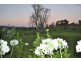 Gloucester NSW 2422