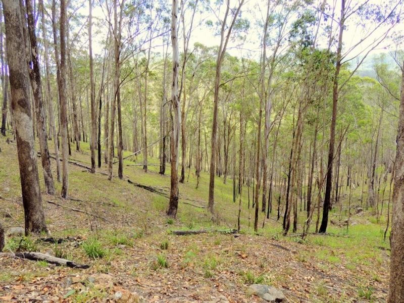 Gloucester NSW 2422