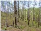 Gloucester NSW 2422