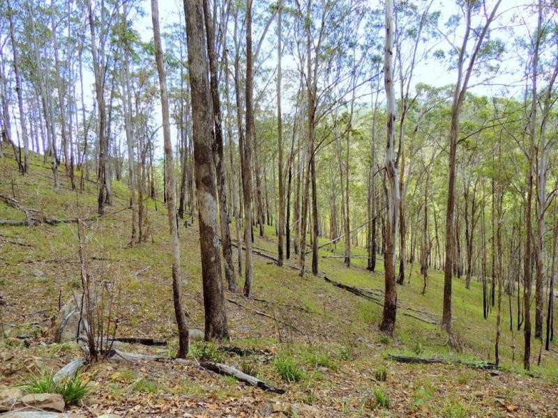 Gloucester NSW 2422