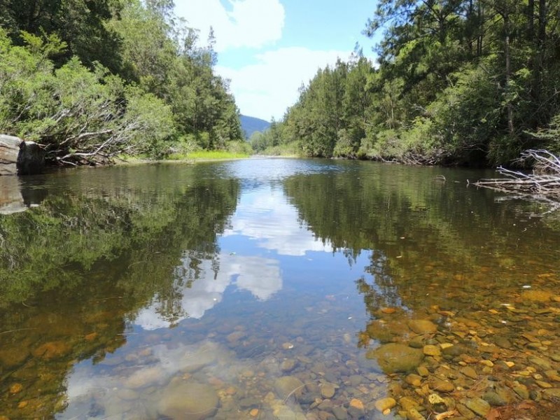 Gloucester NSW 2422
