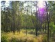 Gloucester NSW 2422